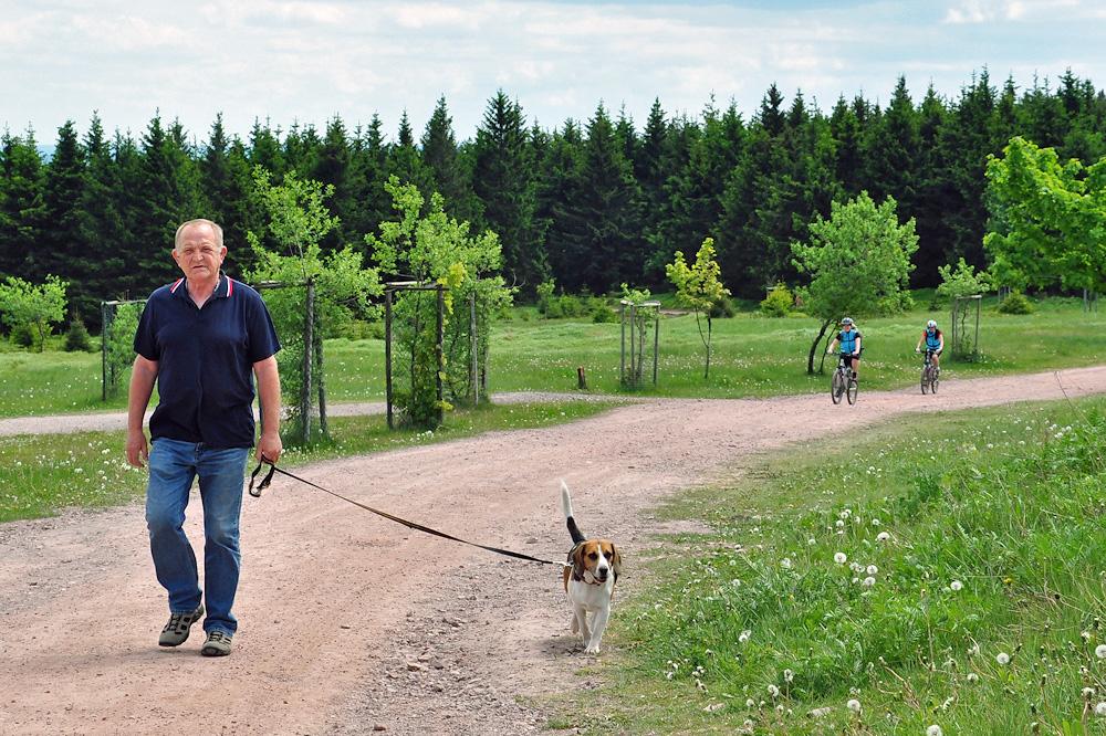 Urlaub mit Hund am Rennsteig / Thüringer Wald & Frankenwald